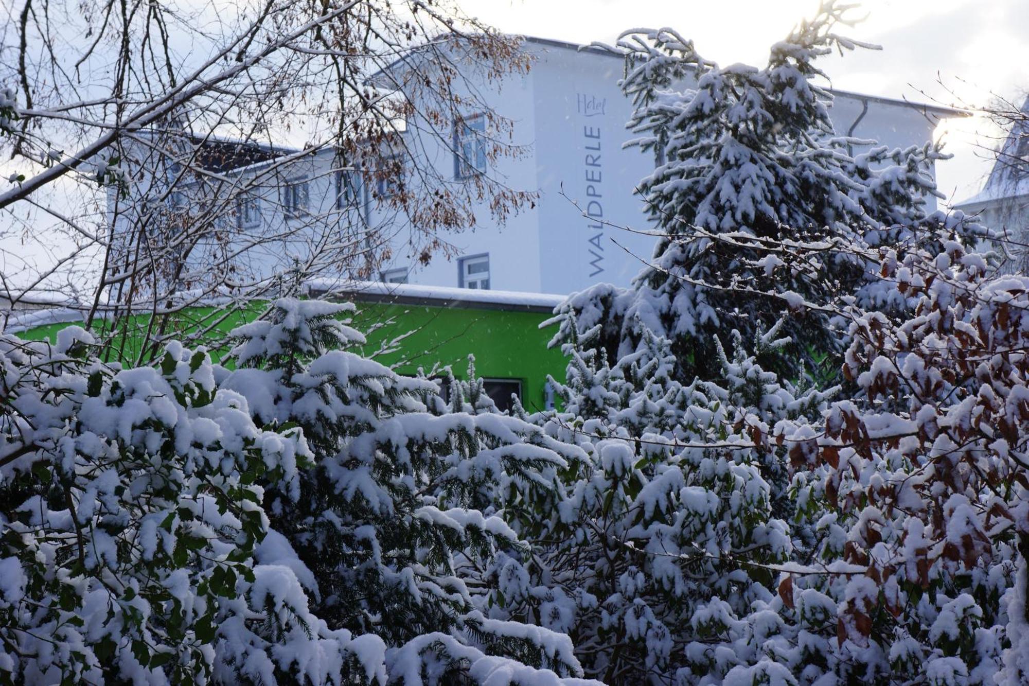 Hotel Waldperle Graal-Mueritz Eksteriør bilde