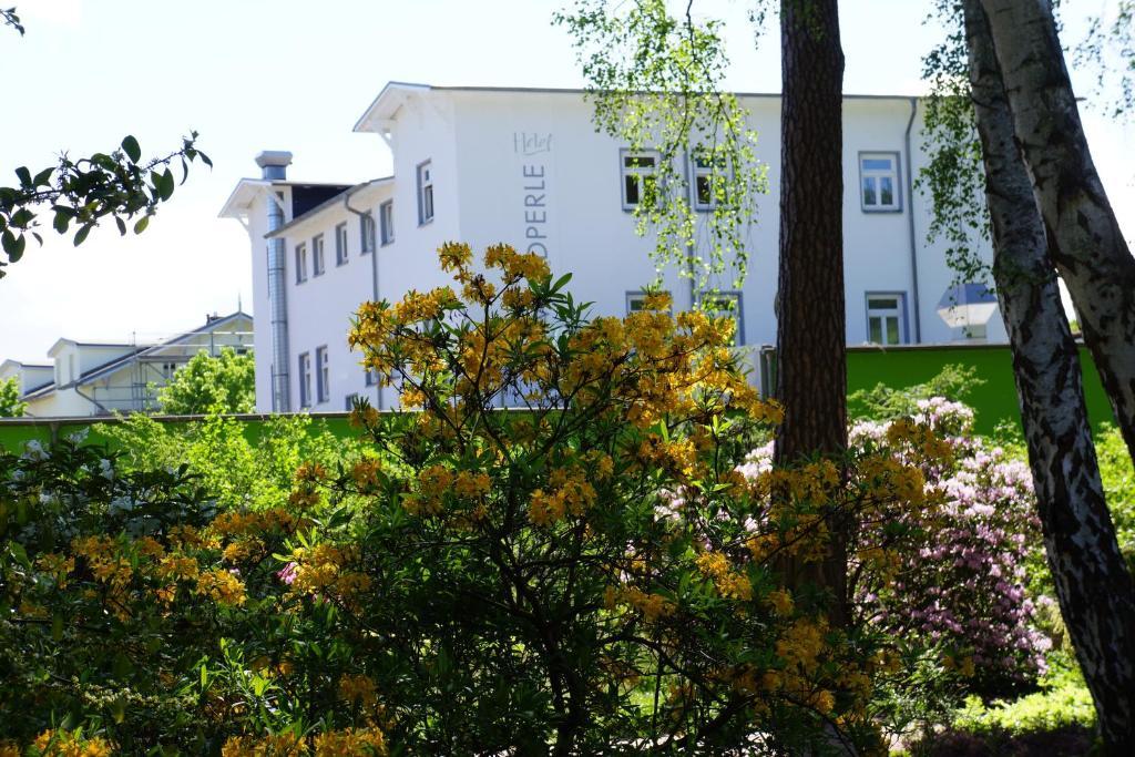 Hotel Waldperle Graal-Mueritz Eksteriør bilde