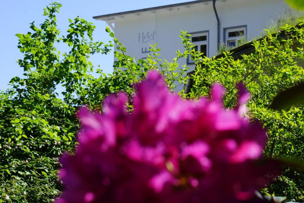 Hotel Waldperle Graal-Mueritz Eksteriør bilde
